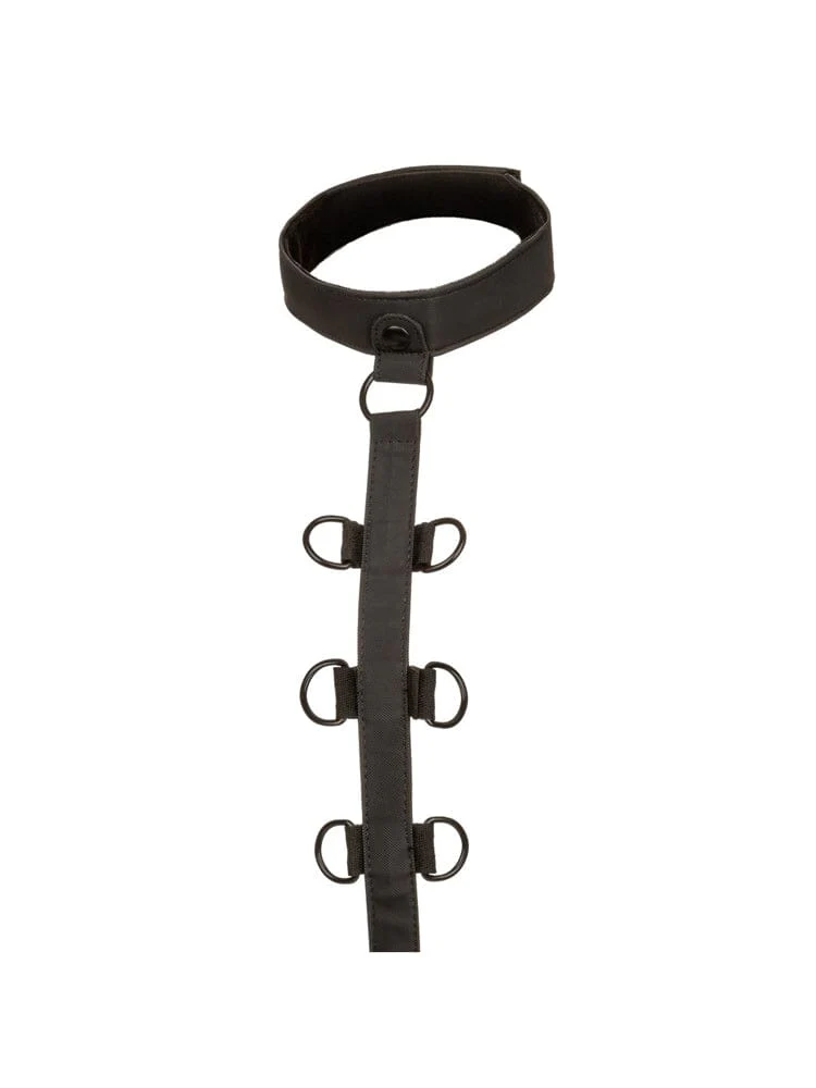 Boundless Collar & Body Restraint Set