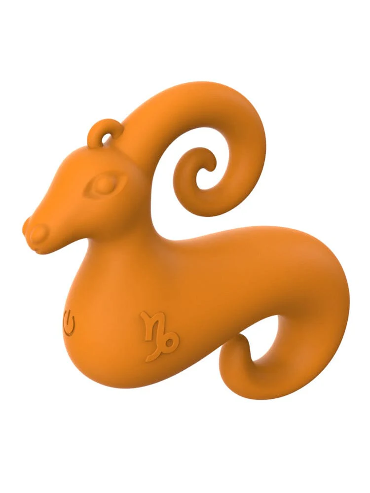 Capricorn Mini Vibe