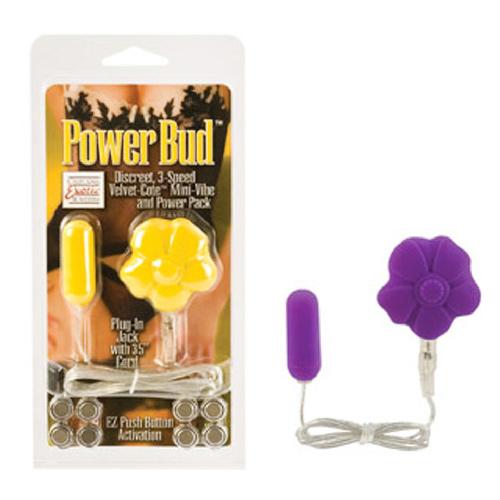 Power Bud Wired Bullet & Remote - Image 2