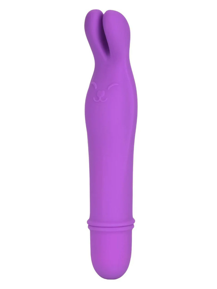 Shane’s World Bedtime Bunny Vibrator - Image 3
