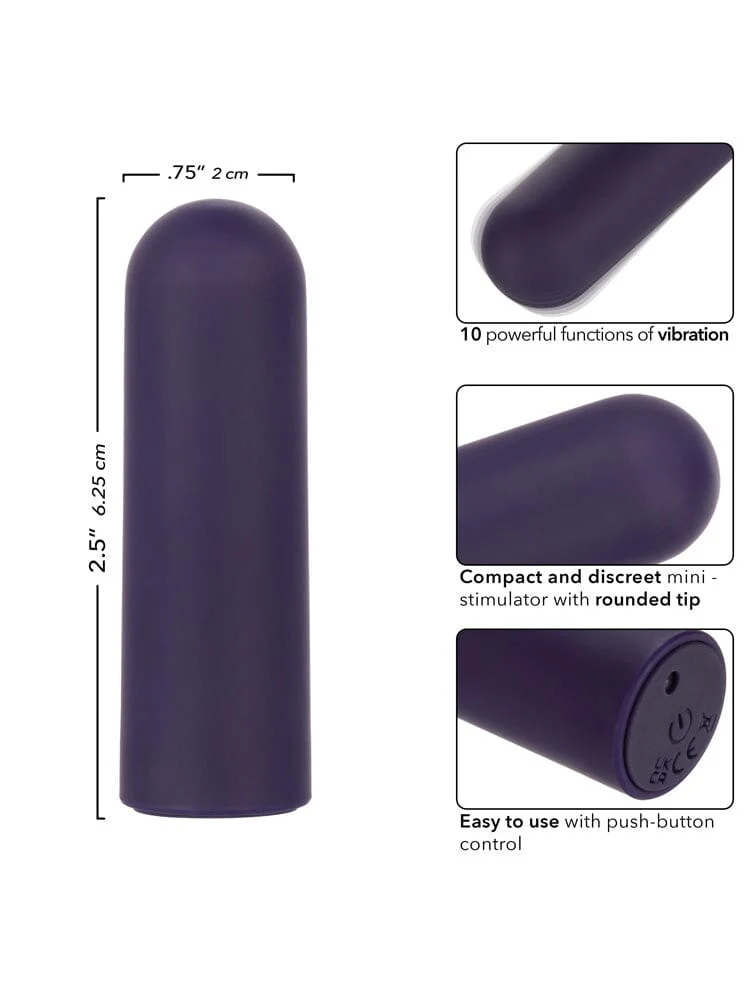 Turbo Buzz Purple Rounded Mini Bullet Rechargeable Vibrator - Image 3