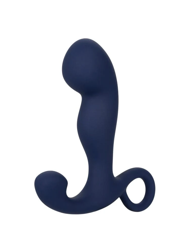 Viceroy Rechargeable Command Prostate Probe
